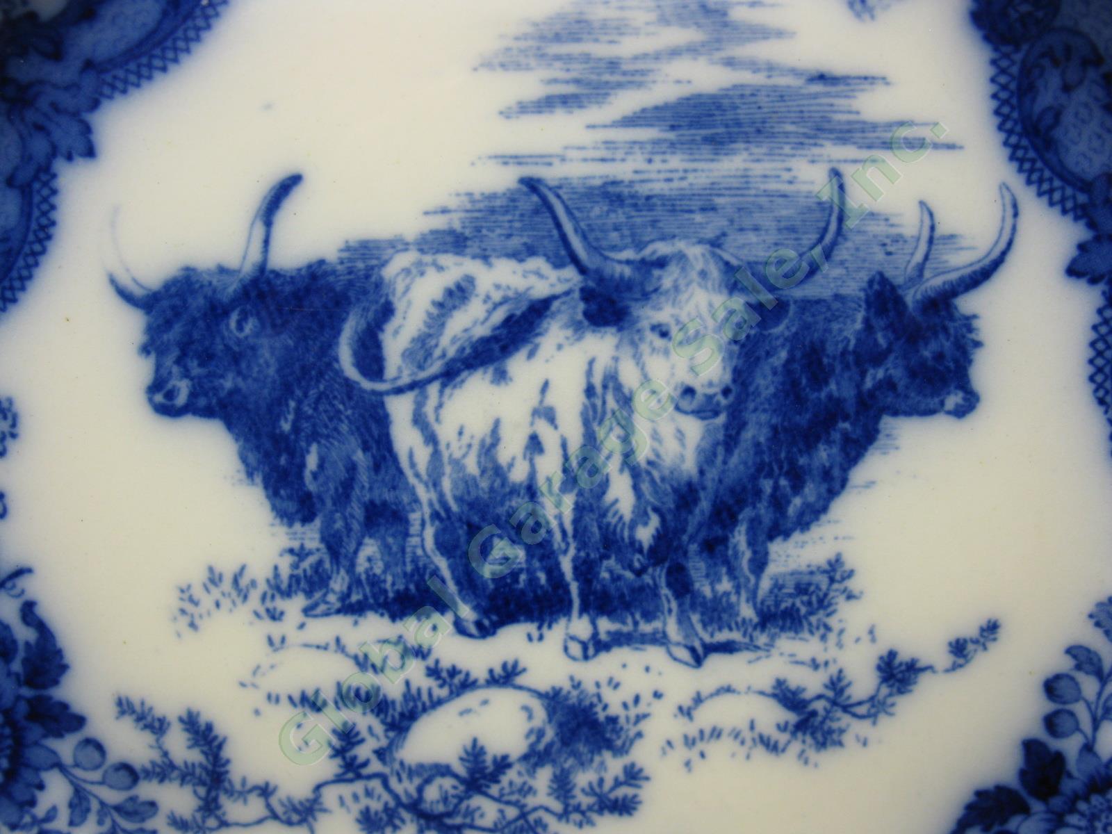 Royal Doulton Burslem England Flow Blue Longhorn Steer Highland Cattle Cow Plate 1
