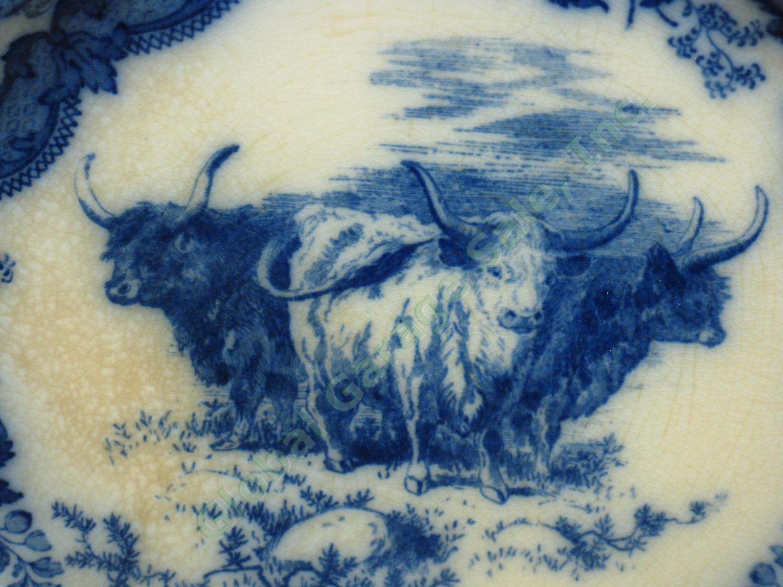 Royal Doulton Burslem England Flow Blue Longhorn Steer Highland Cattle Cow Plate 1