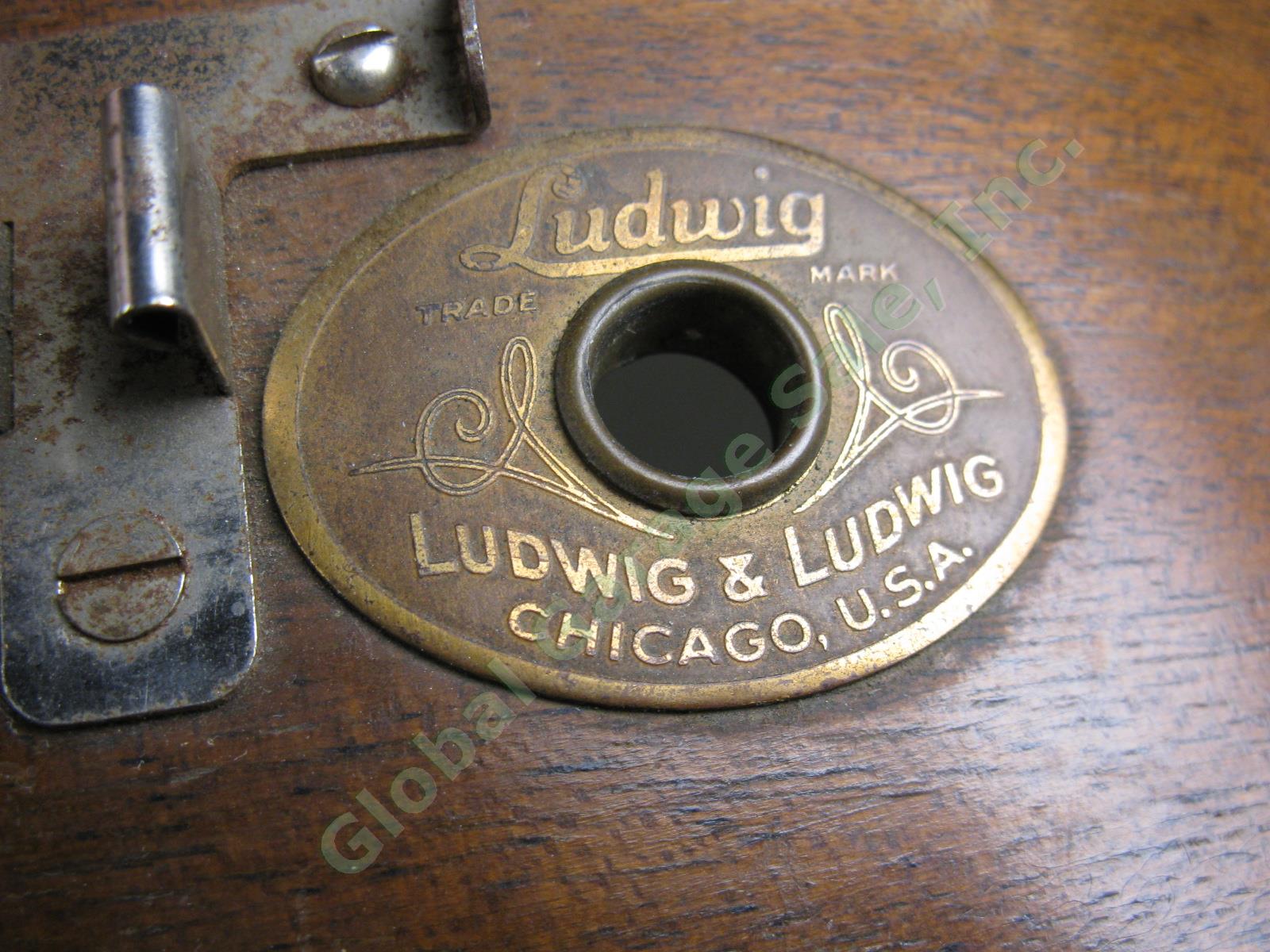 1946 Ludwig & Ludwig Mahogany Shell Marching Parade Snare Drum Oval Brass Badge 2