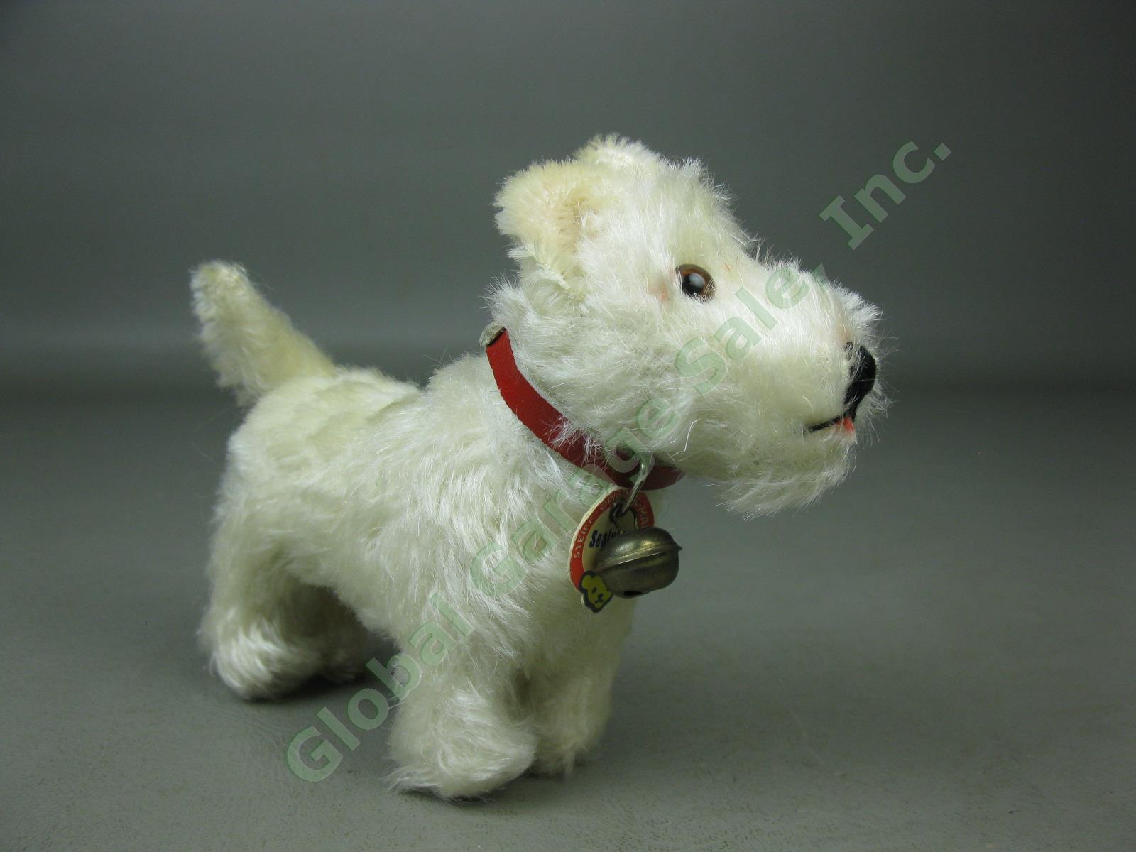 Vtg Steiff Original Miniature Mohair Sealyham Terrier Dog W/ Tag Bell Germany NR