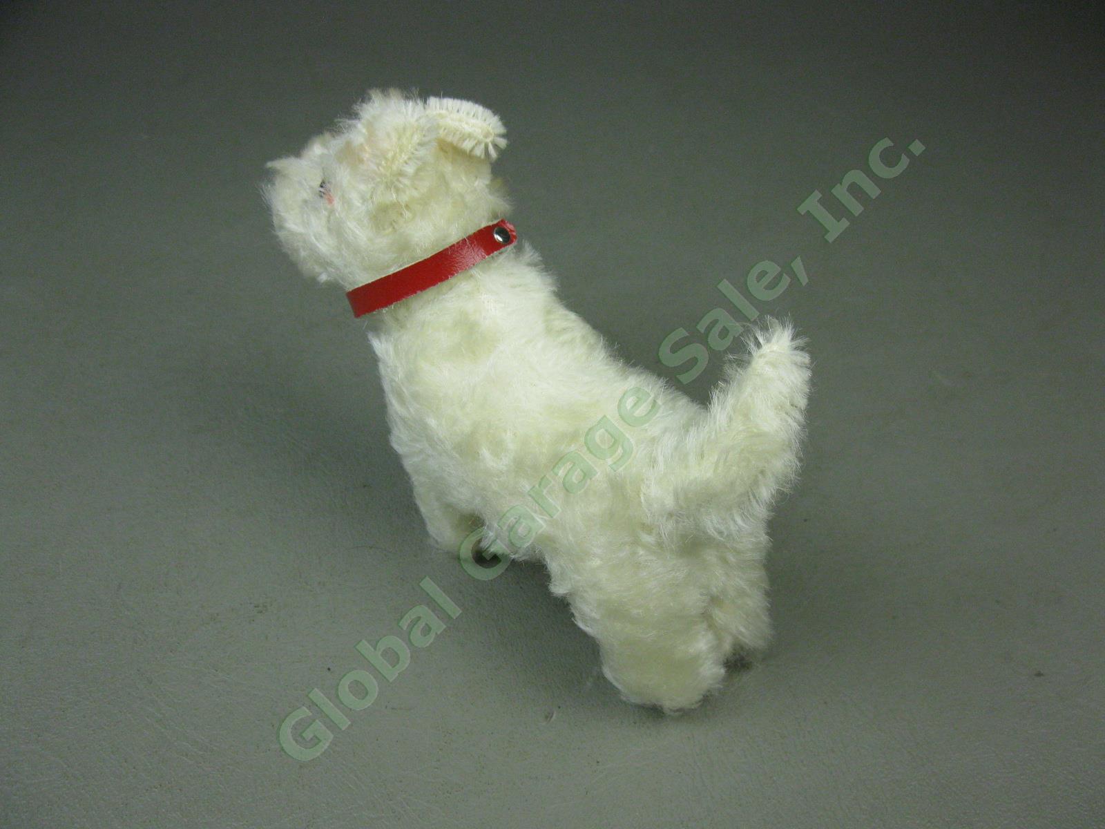Vtg Steiff Original Miniature Mohair Sealyham Terrier Dog W/ Tag Bell Germany NR 3