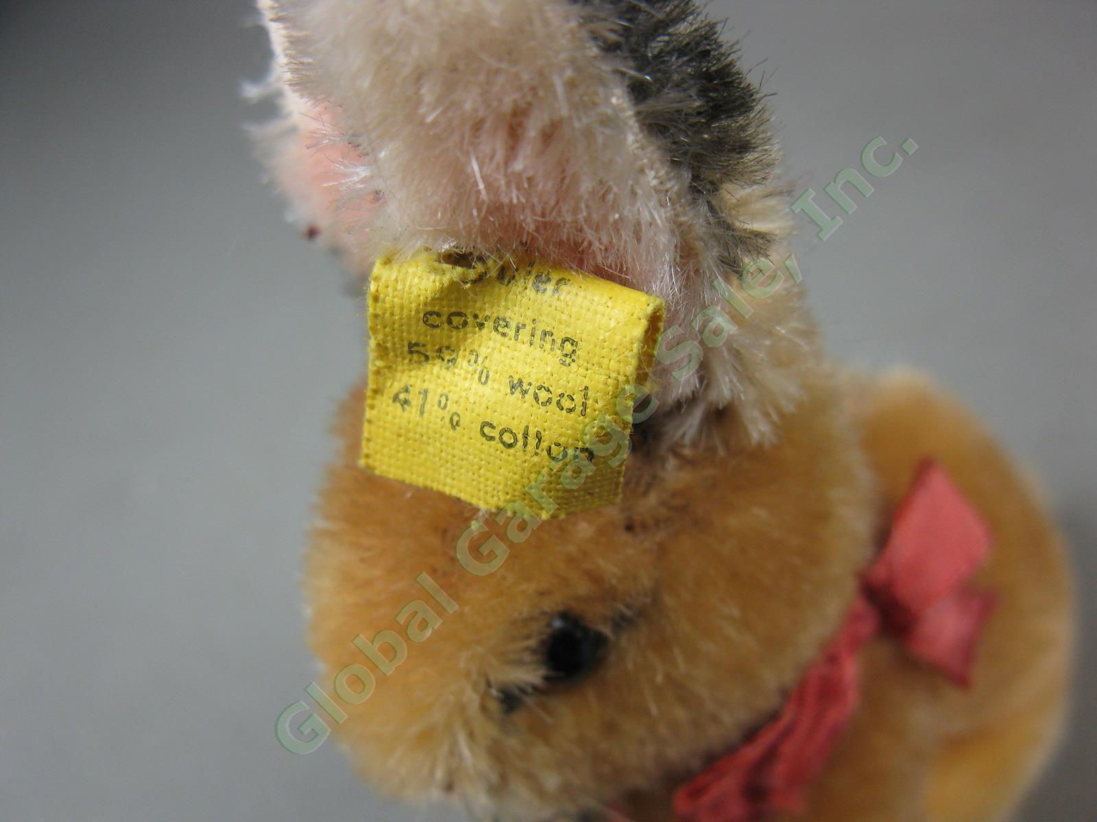 Vtg Steiff Original Miniature Mohair Bunny Rabbit W/ Ear Button Flag Tag Germany 3