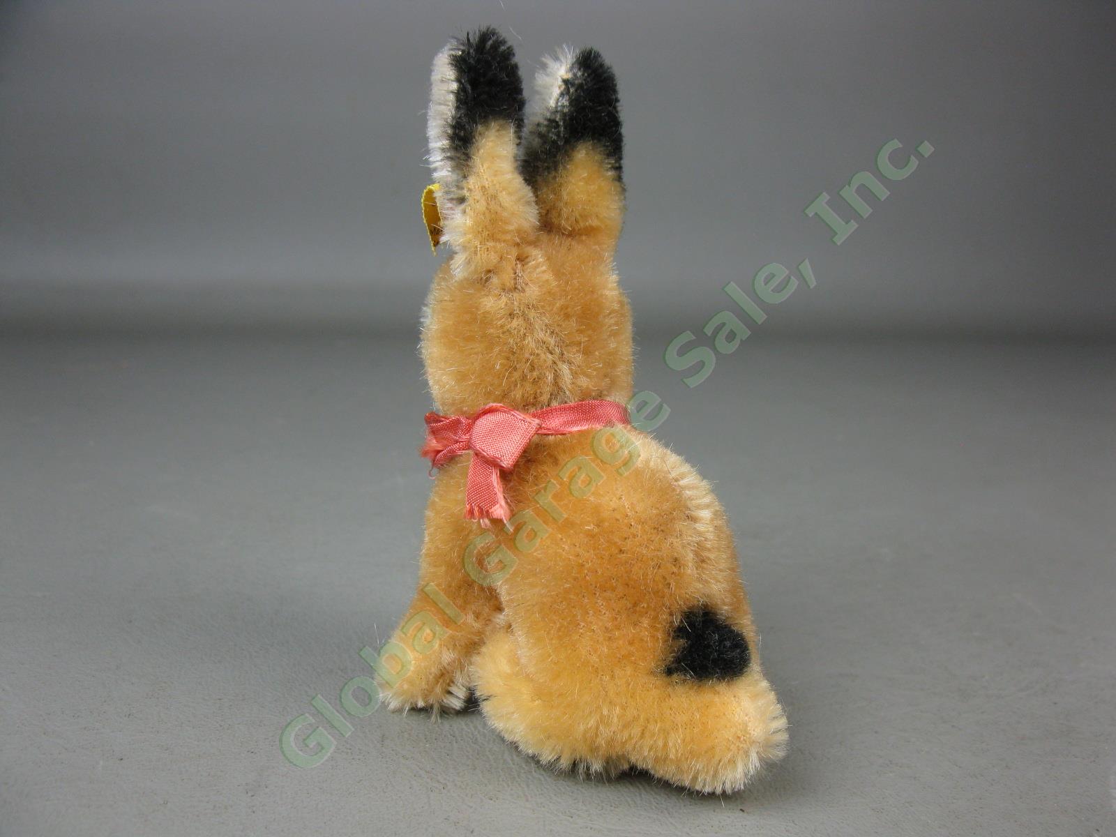 Vtg Steiff Original Miniature Mohair Bunny Rabbit W/ Ear Button Flag Tag Germany 5