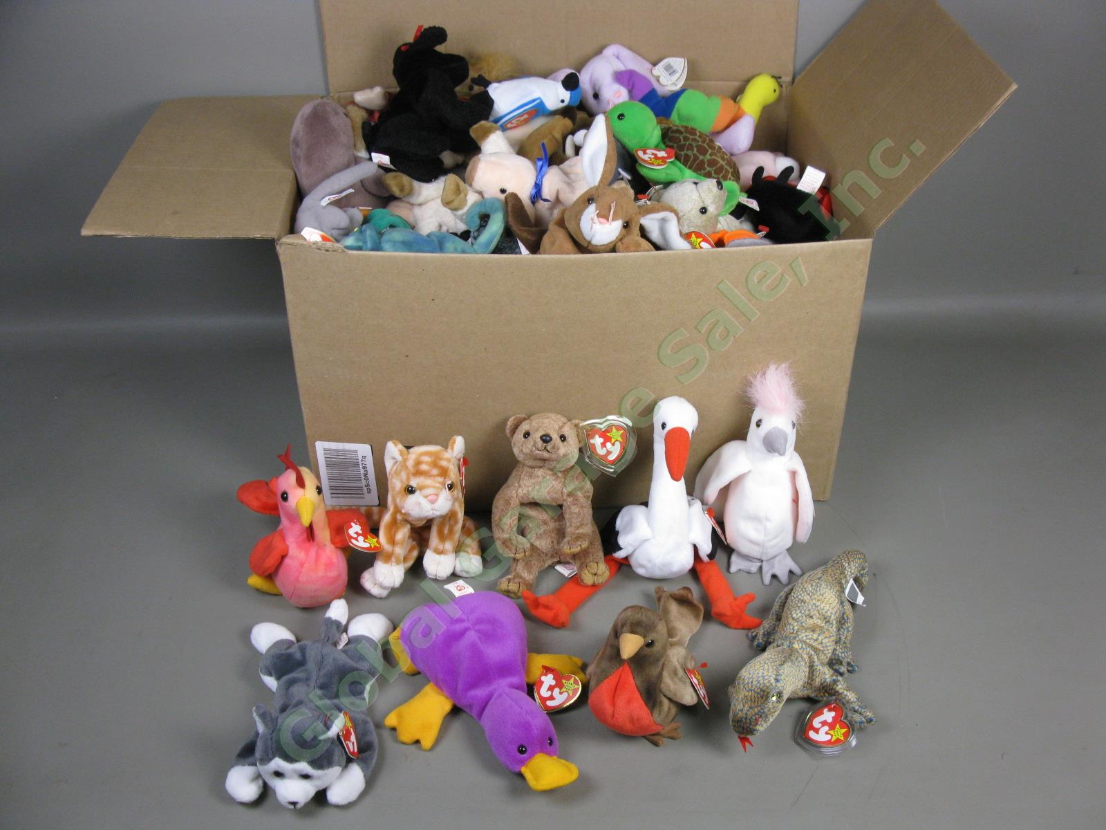 100 Vtg Ty Beanie Babies Lot All Different With Tags 1990s Hoppity Kuku Scaly ++