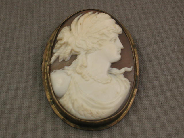 Rare Antique Victorian Carved Shell Cameo Pin Brooch NR