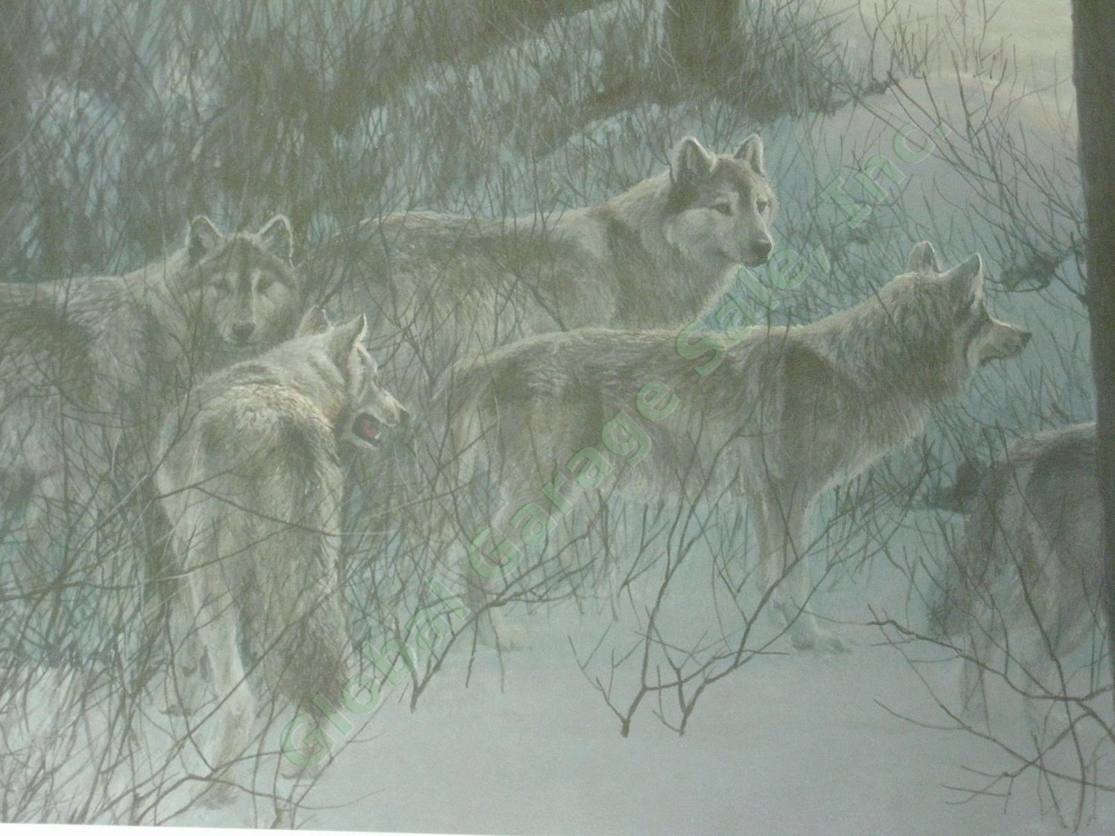 Robert Bateman 1996 Signed Print Edge Of Night Timber Wolves Ltd Ed #1404/9600 2