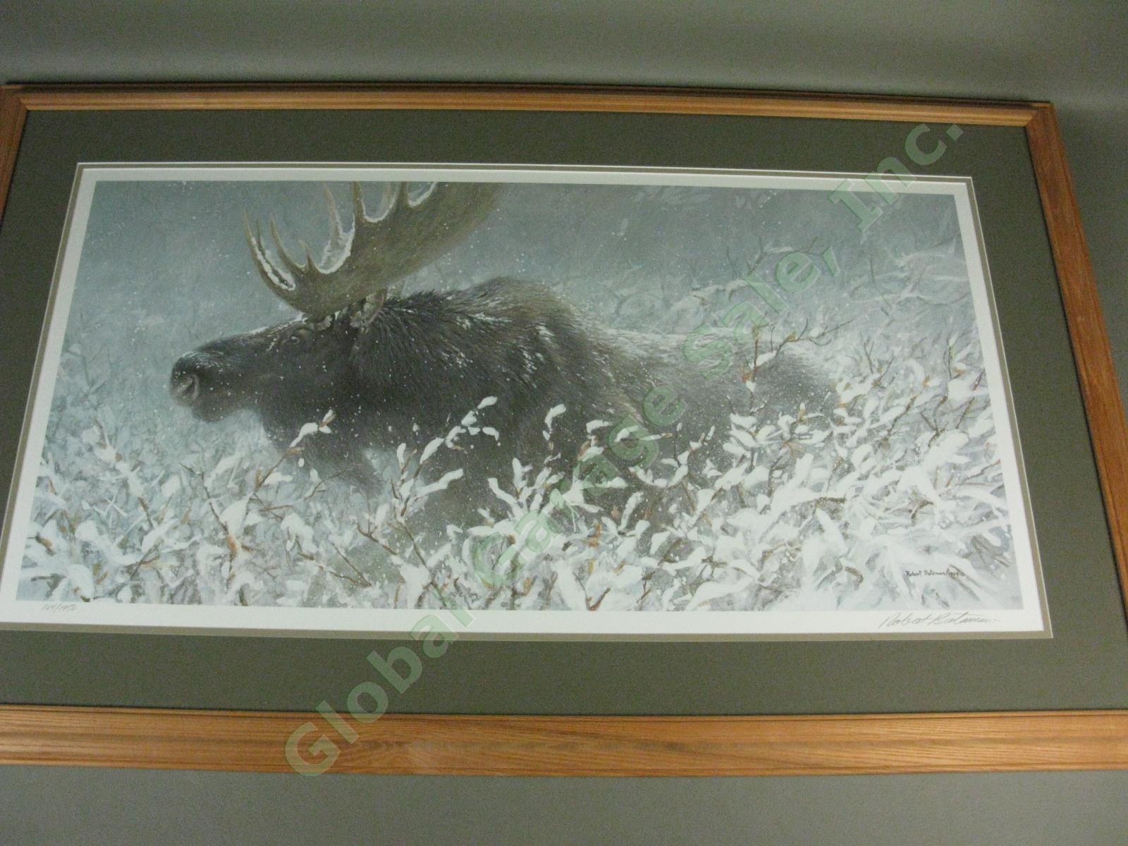 Robert Bateman 1994 Signed Print Winter Run Bull Moose Ltd Ed #164/1950 16"x32"