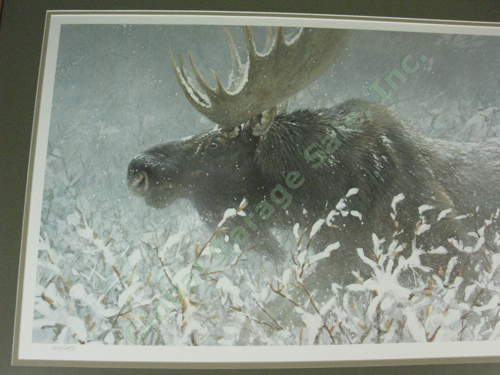 Robert Bateman 1994 Signed Print Winter Run Bull Moose Ltd Ed #164/1950 16"x32" 1