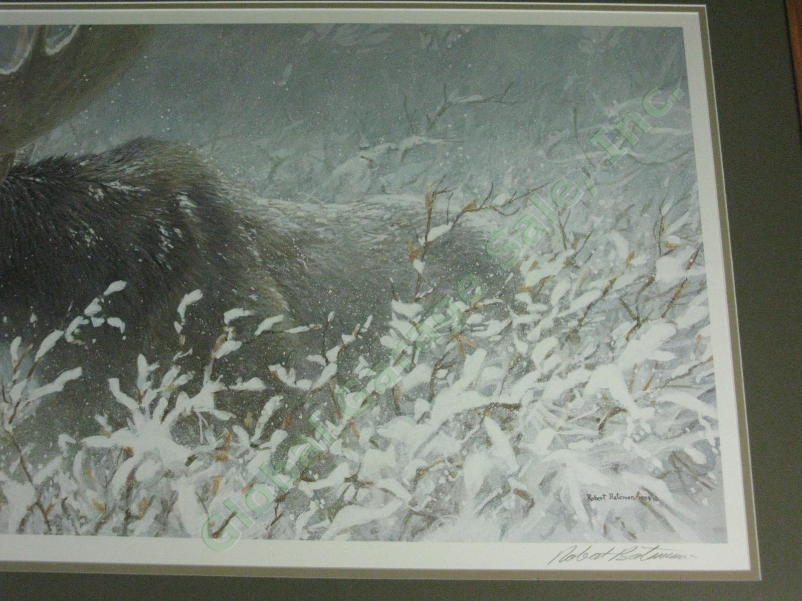 Robert Bateman 1994 Signed Print Winter Run Bull Moose Ltd Ed #164/1950 16"x32" 3