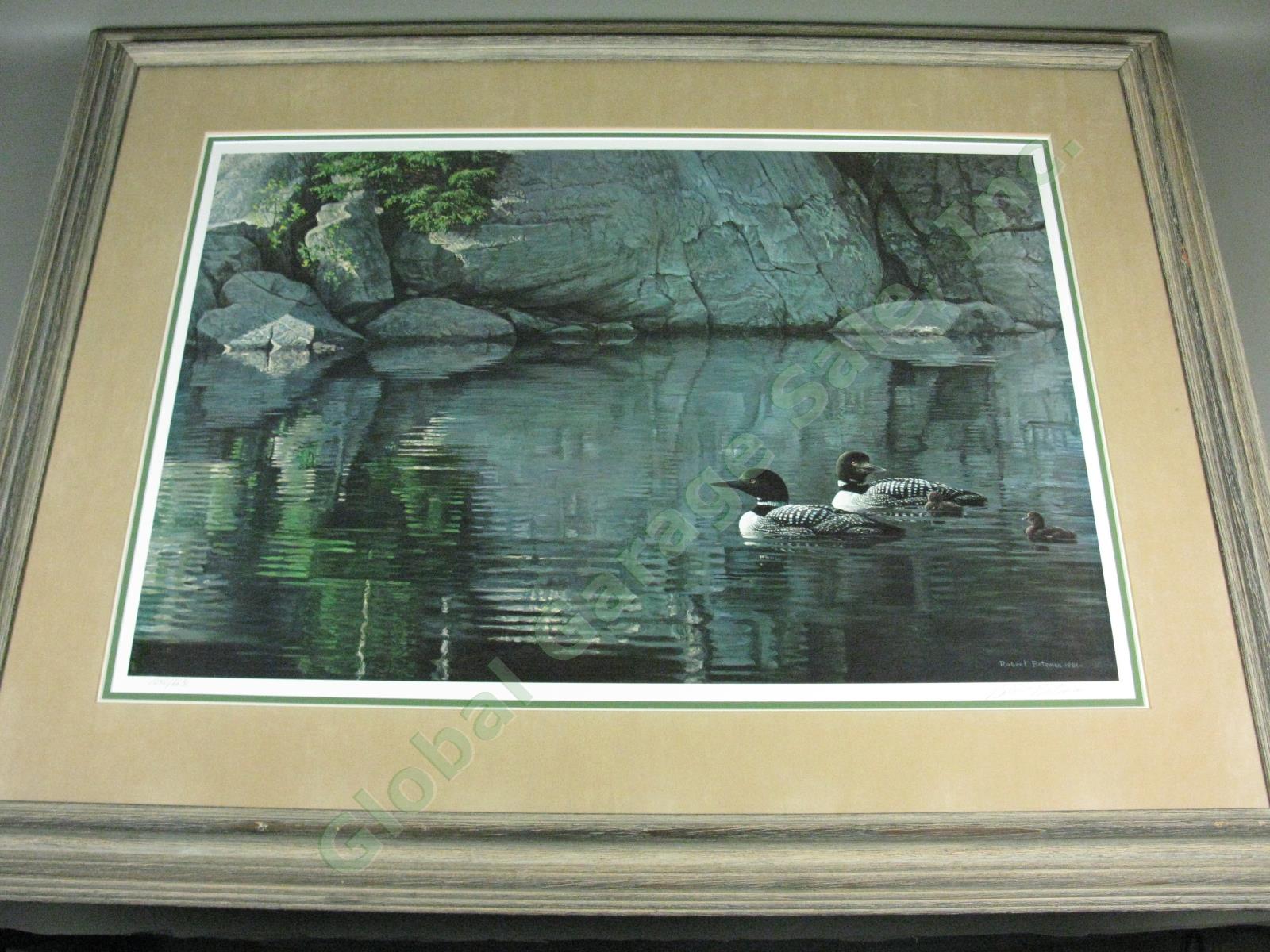 Robert Bateman Signed Print Northern Exposure Loon Family #1040/8631 Waterfowl