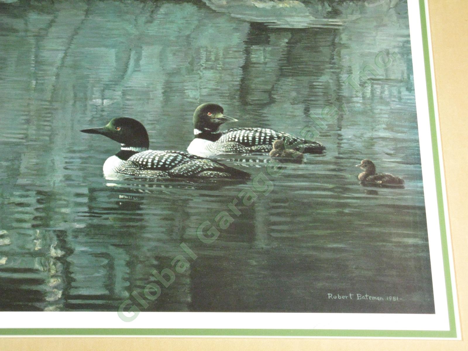 Robert Bateman Signed Print Northern Exposure Loon Family #1040/8631 Waterfowl 1