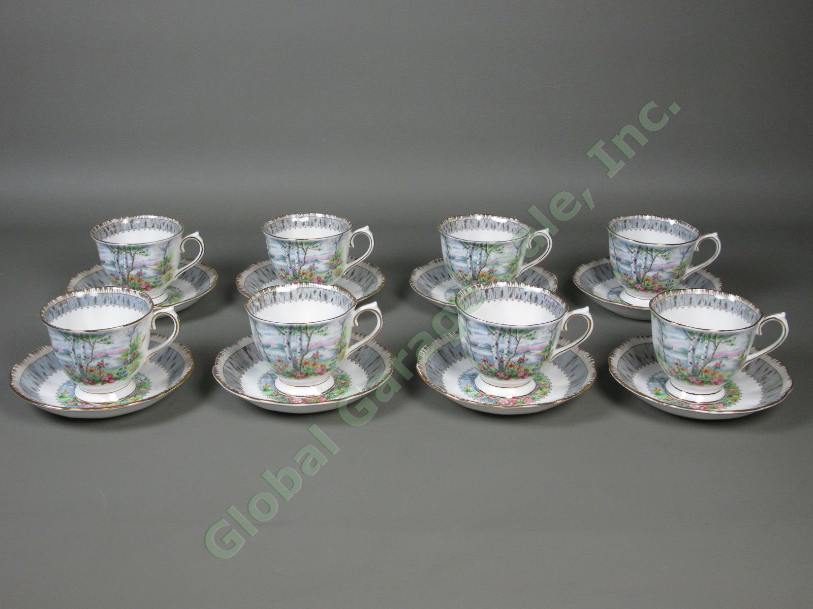 8 Vintage Royal Albert Silver Birch Bone China Teacups Tea Cups + Saucers Set NR