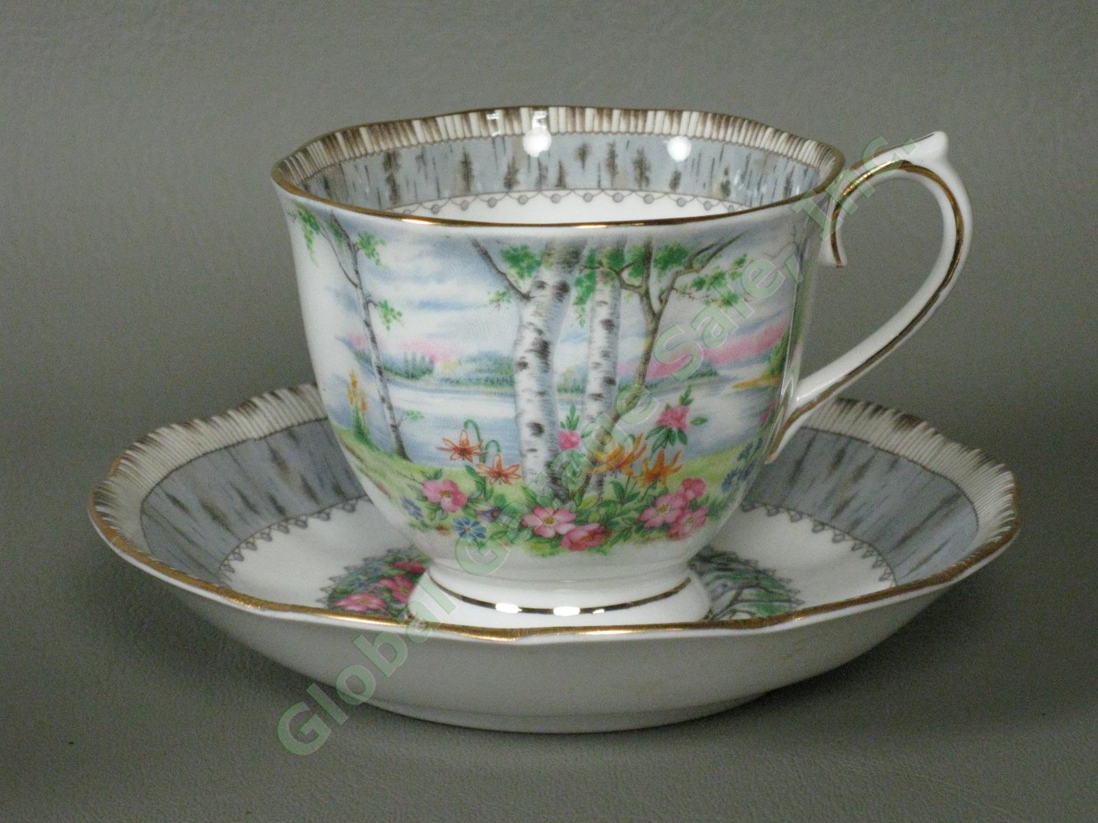 8 Vintage Royal Albert Silver Birch Bone China Teacups Tea Cups + Saucers Set NR 1