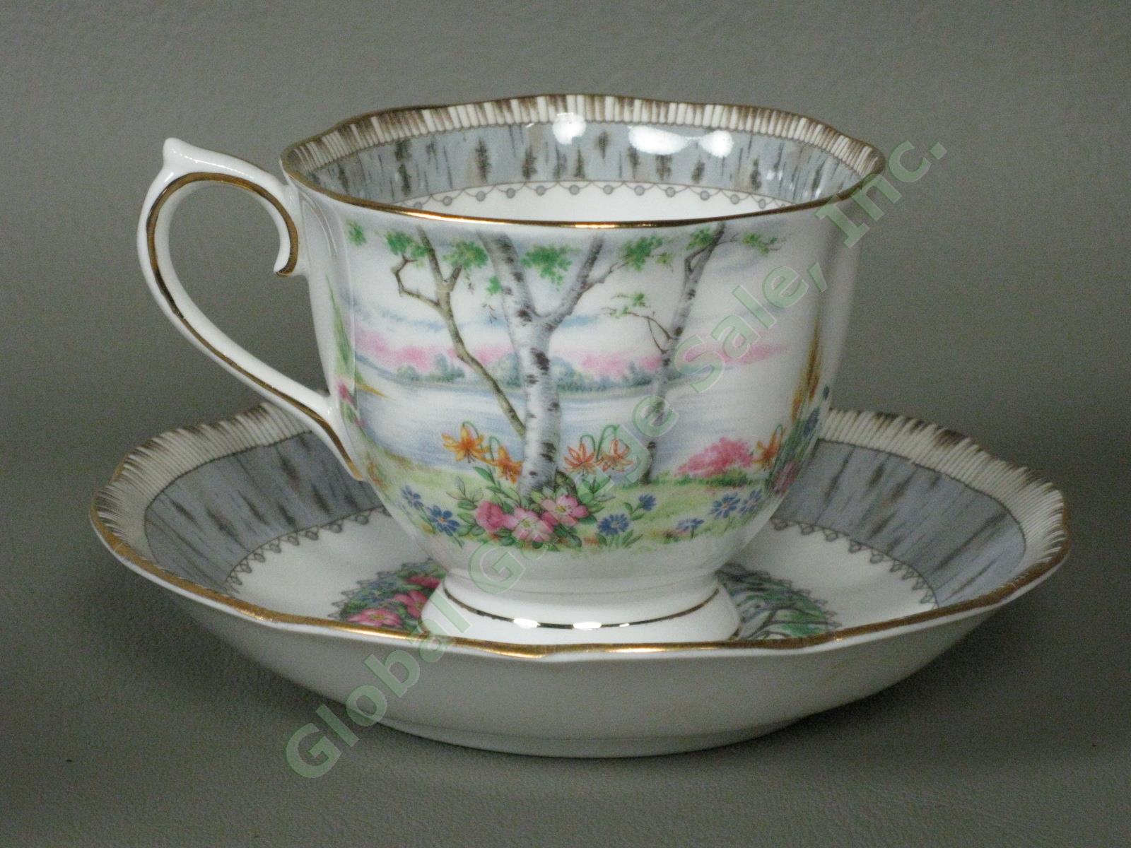 8 Vintage Royal Albert Silver Birch Bone China Teacups Tea Cups + Saucers Set NR 3