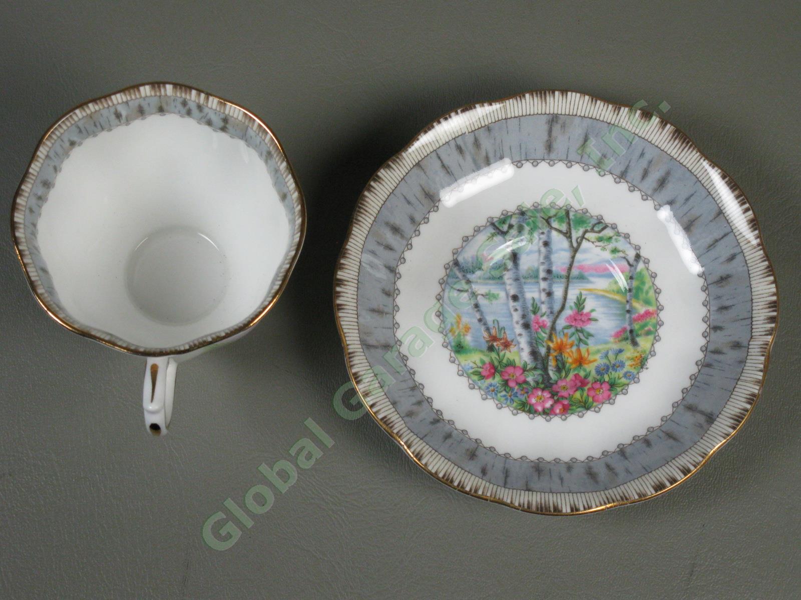 8 Vintage Royal Albert Silver Birch Bone China Teacups Tea Cups + Saucers Set NR 5