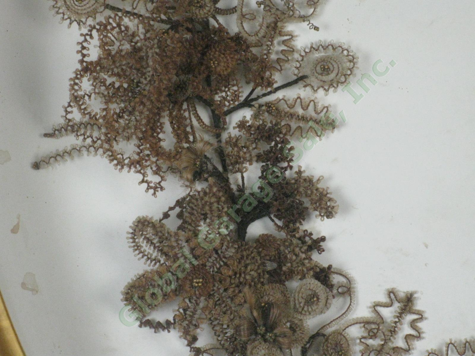 Antique Victorian Mourning Wreath Human Hair Flowers Gilt Shadow Box 21"x23" NR! 2