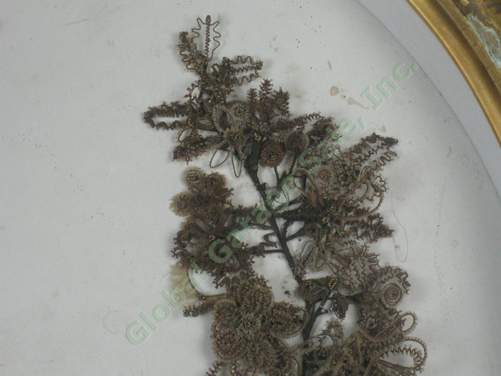 Antique Victorian Mourning Wreath Human Hair Flowers Gilt Shadow Box 21"x23" NR! 5