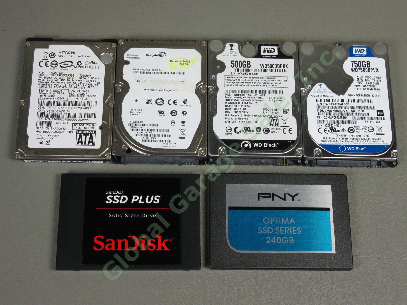 6 Laptop Drives 240GB SSD 2.5" Sandisk SDSSDA-240G PNY SSD7SC240GSA-OPM + 4 HDD