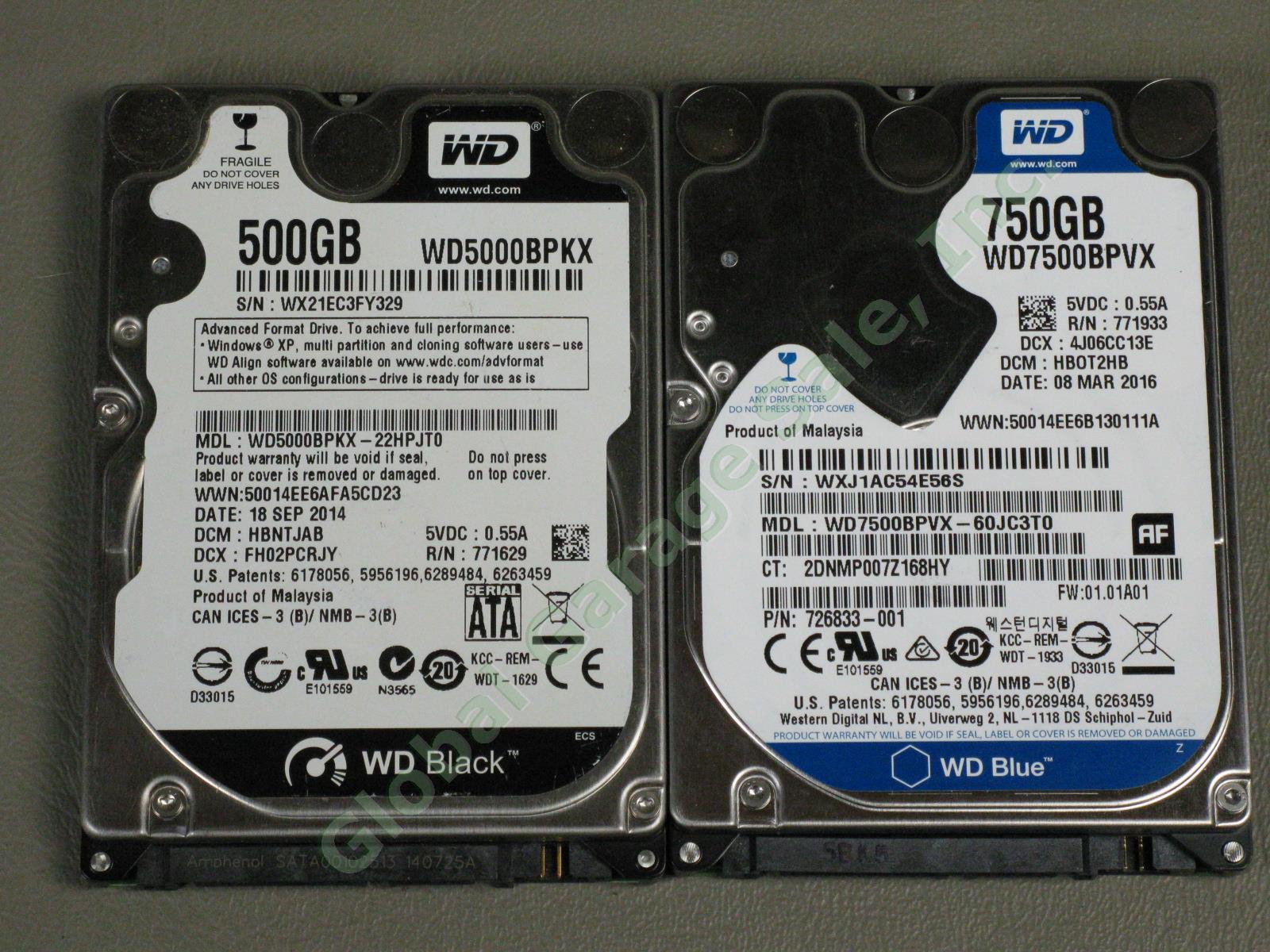 6 Laptop Drives 240GB SSD 2.5" Sandisk SDSSDA-240G PNY SSD7SC240GSA-OPM + 4 HDD 5