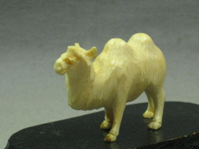 9 Antique Carved Ivory Animal Figurines Lot Japanese NR 2