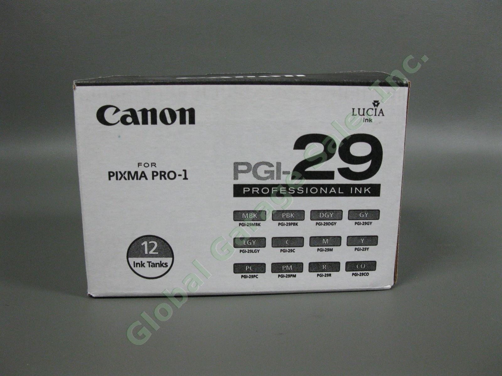 Canon PIXMA PRO-1 Digital Network Professional Photo Inkjet Printer Tested +Ink 21