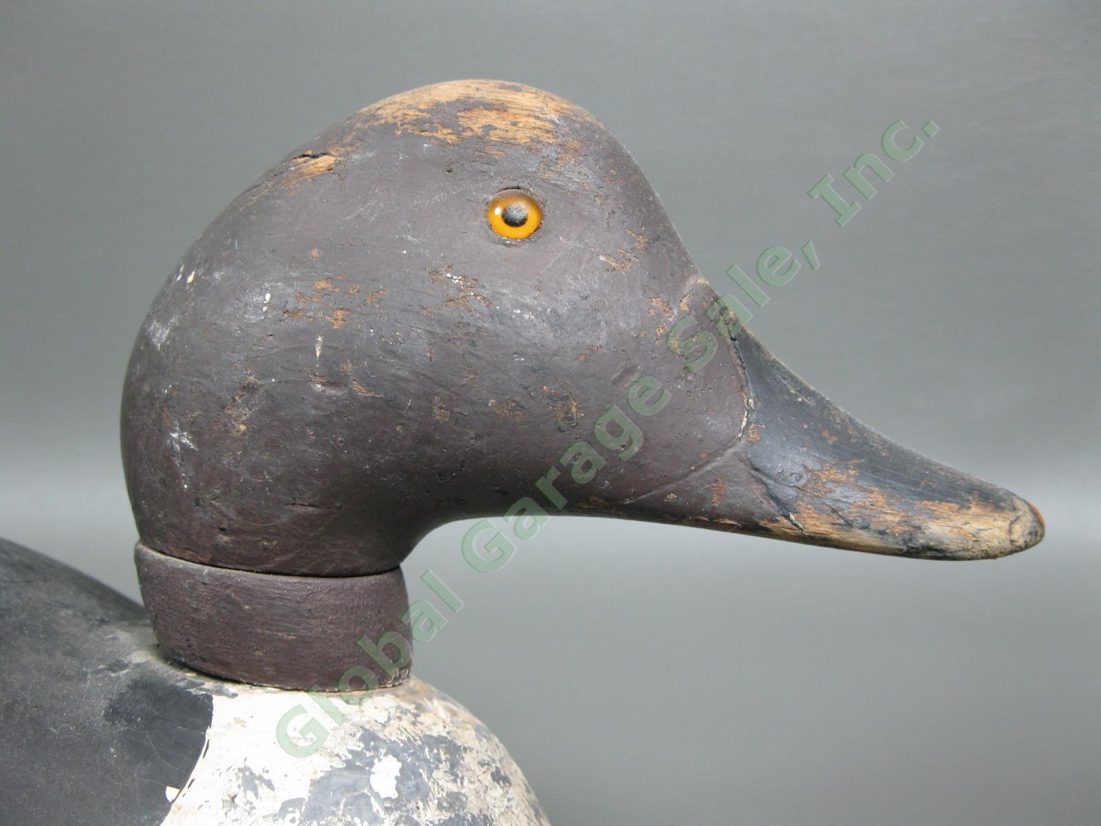 Mason Premier Goldeneye Hen Duck Hollow Carved Wood Hunting Glass Eye Decoy NR 5