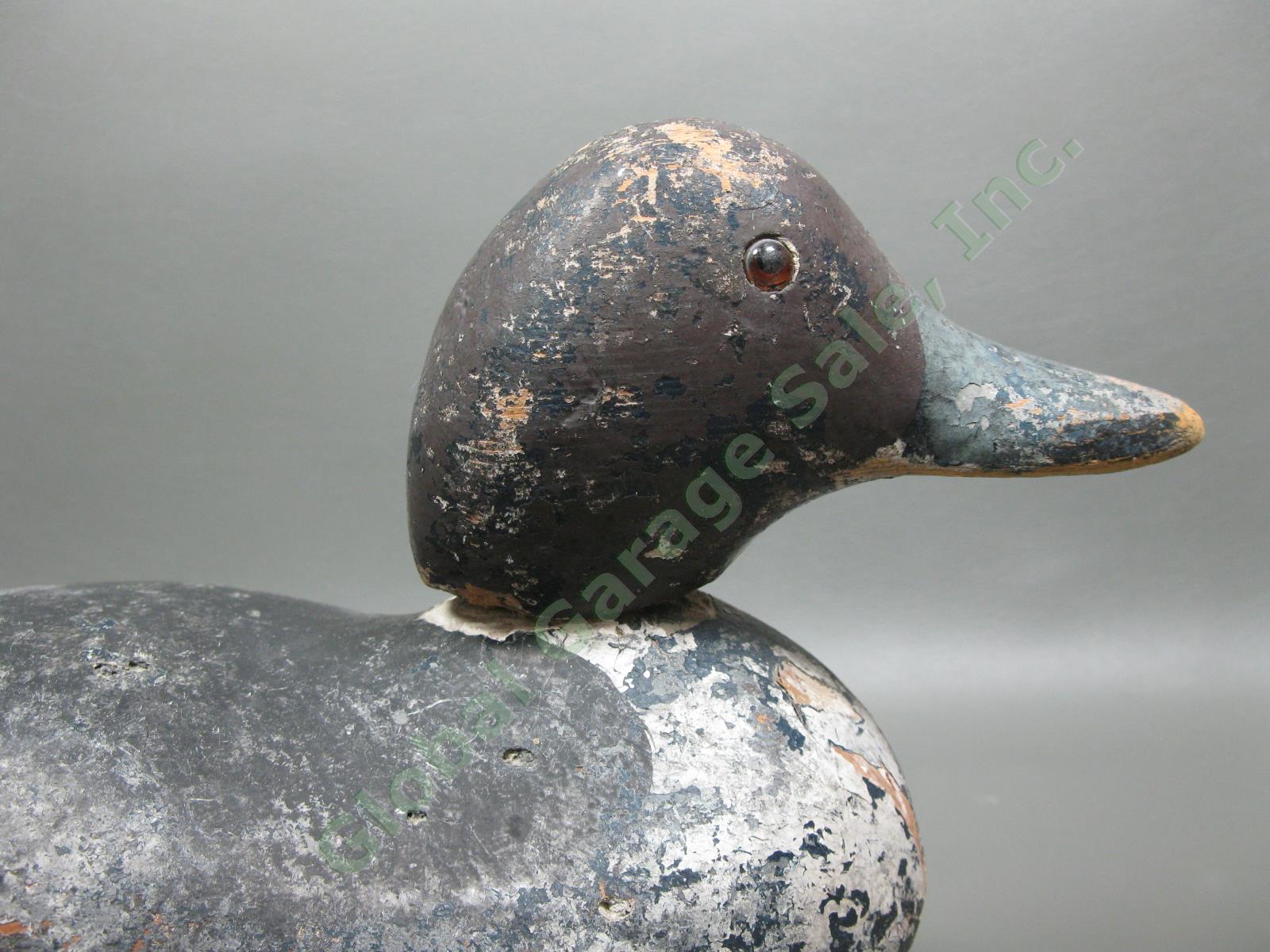 Antique Mason Standard Grade Goldeneye Hen Duck Glass Eye Wood Hunting Decoy NR 1