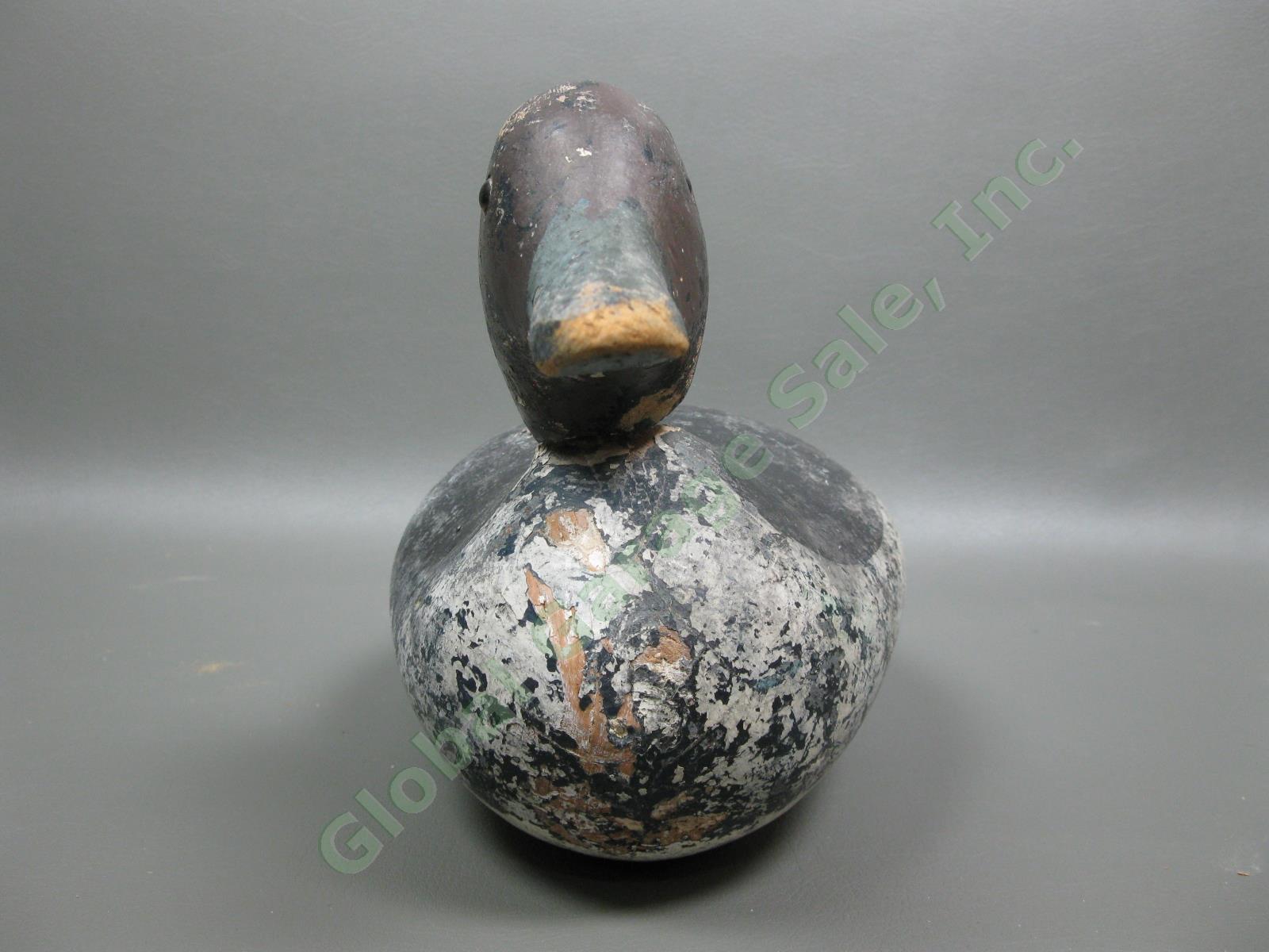 Antique Mason Standard Grade Goldeneye Hen Duck Glass Eye Wood Hunting Decoy NR 2