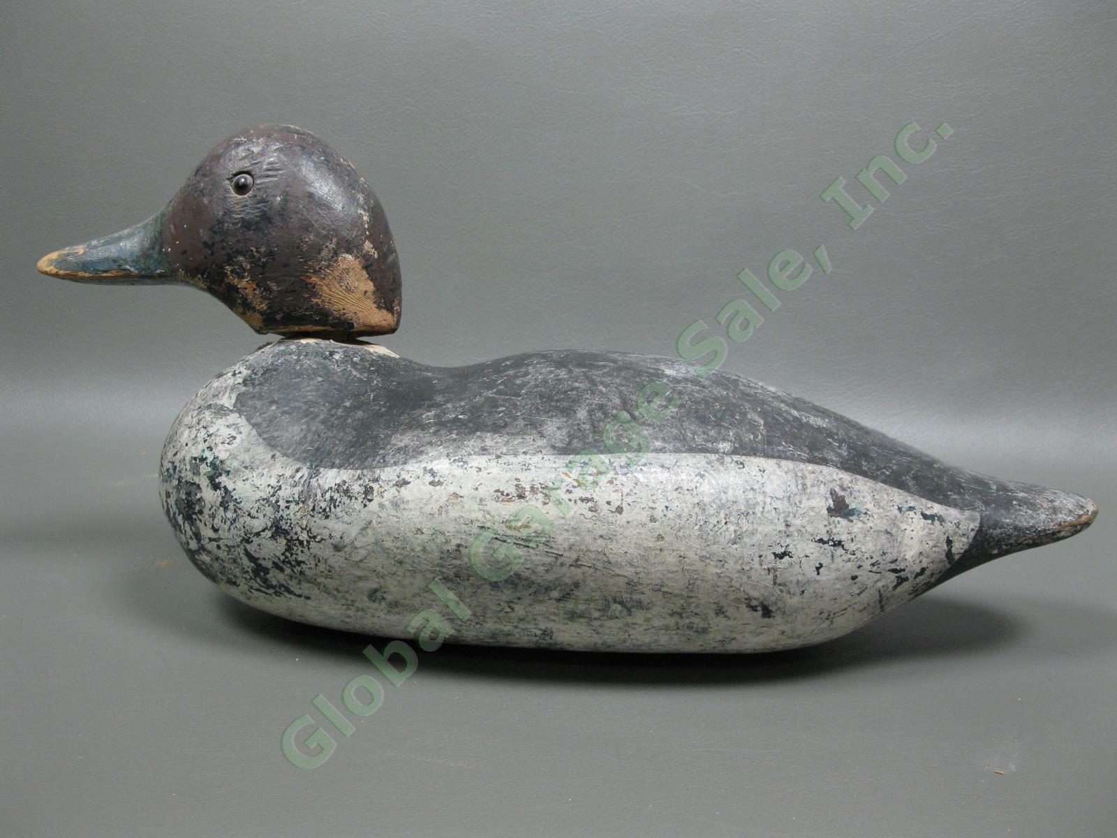 Antique Mason Standard Grade Goldeneye Hen Duck Glass Eye Wood Hunting Decoy NR 3