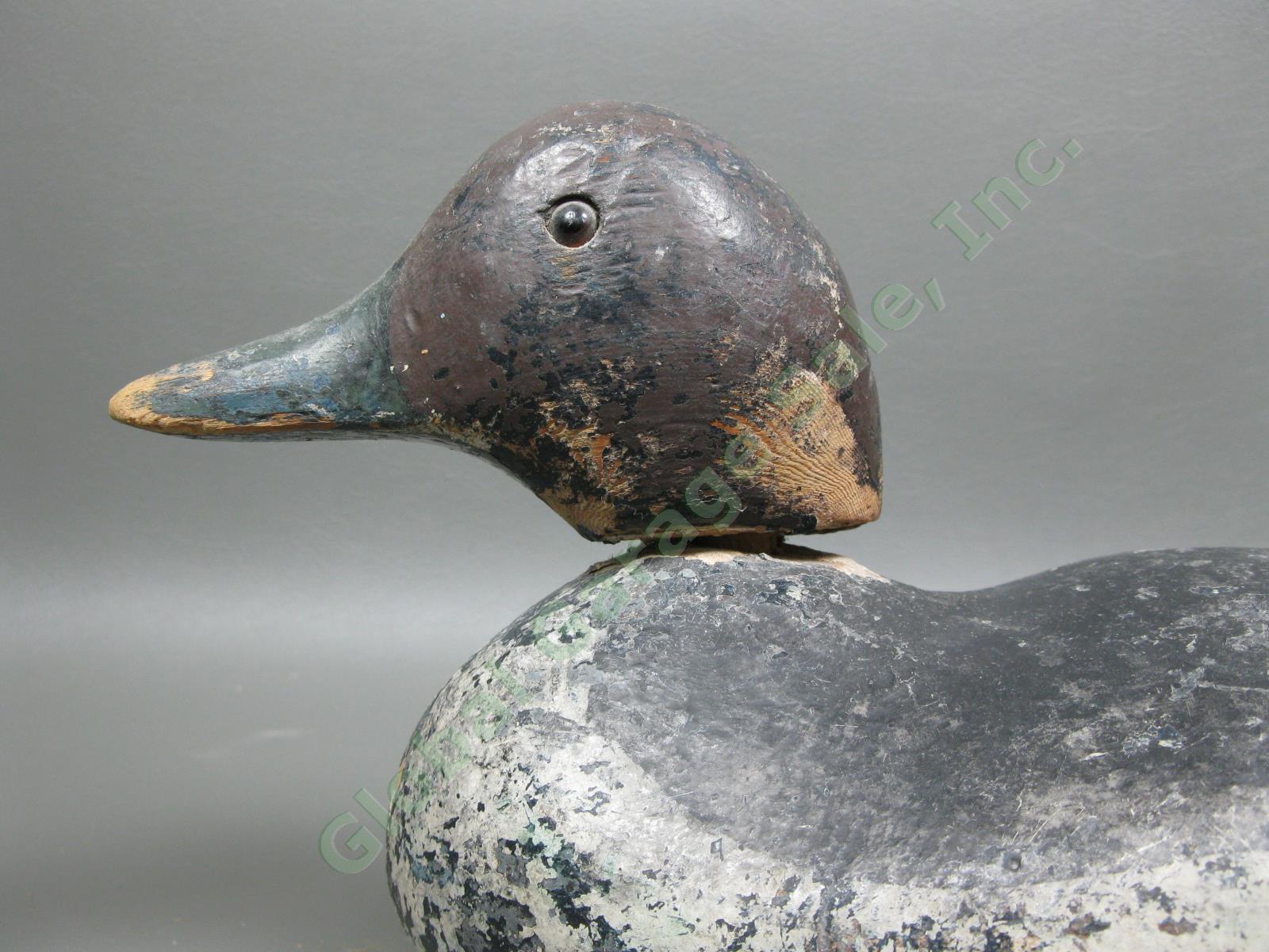 Antique Mason Standard Grade Goldeneye Hen Duck Glass Eye Wood Hunting Decoy NR 4