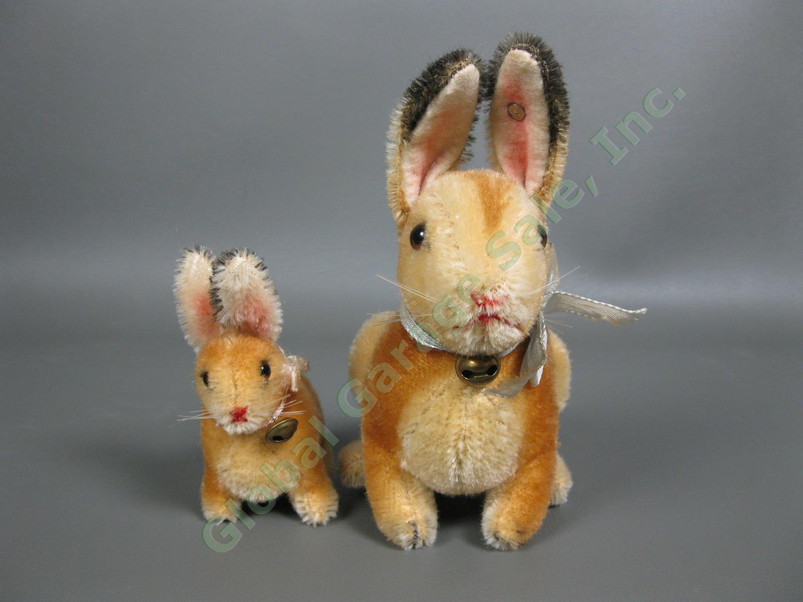 Post-War Steiff US Zone 6" Bunny Rabbit Golden Mohair Set Metal Button Germany 2