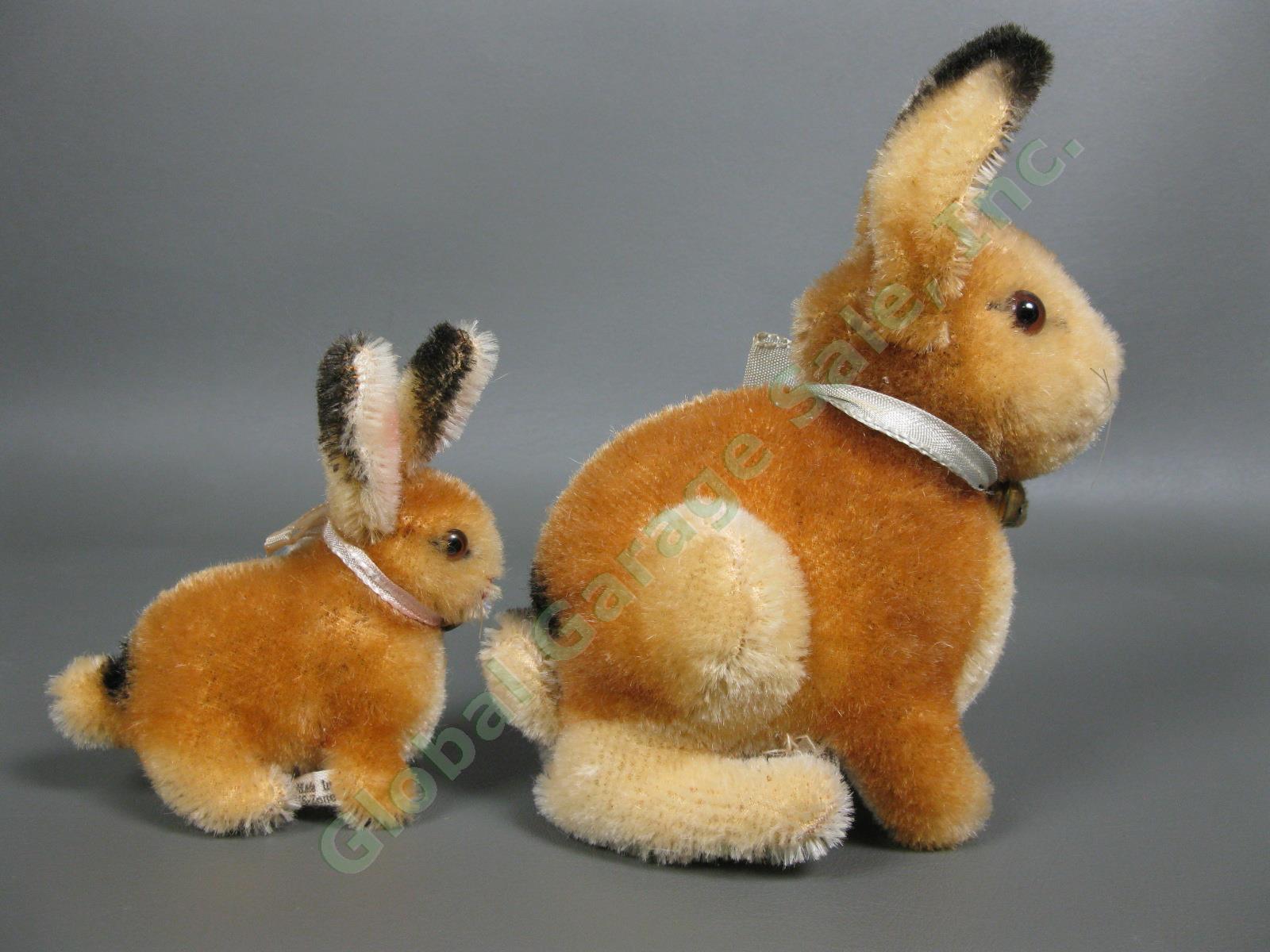 Post-War Steiff US Zone 6" Bunny Rabbit Golden Mohair Set Metal Button Germany 3