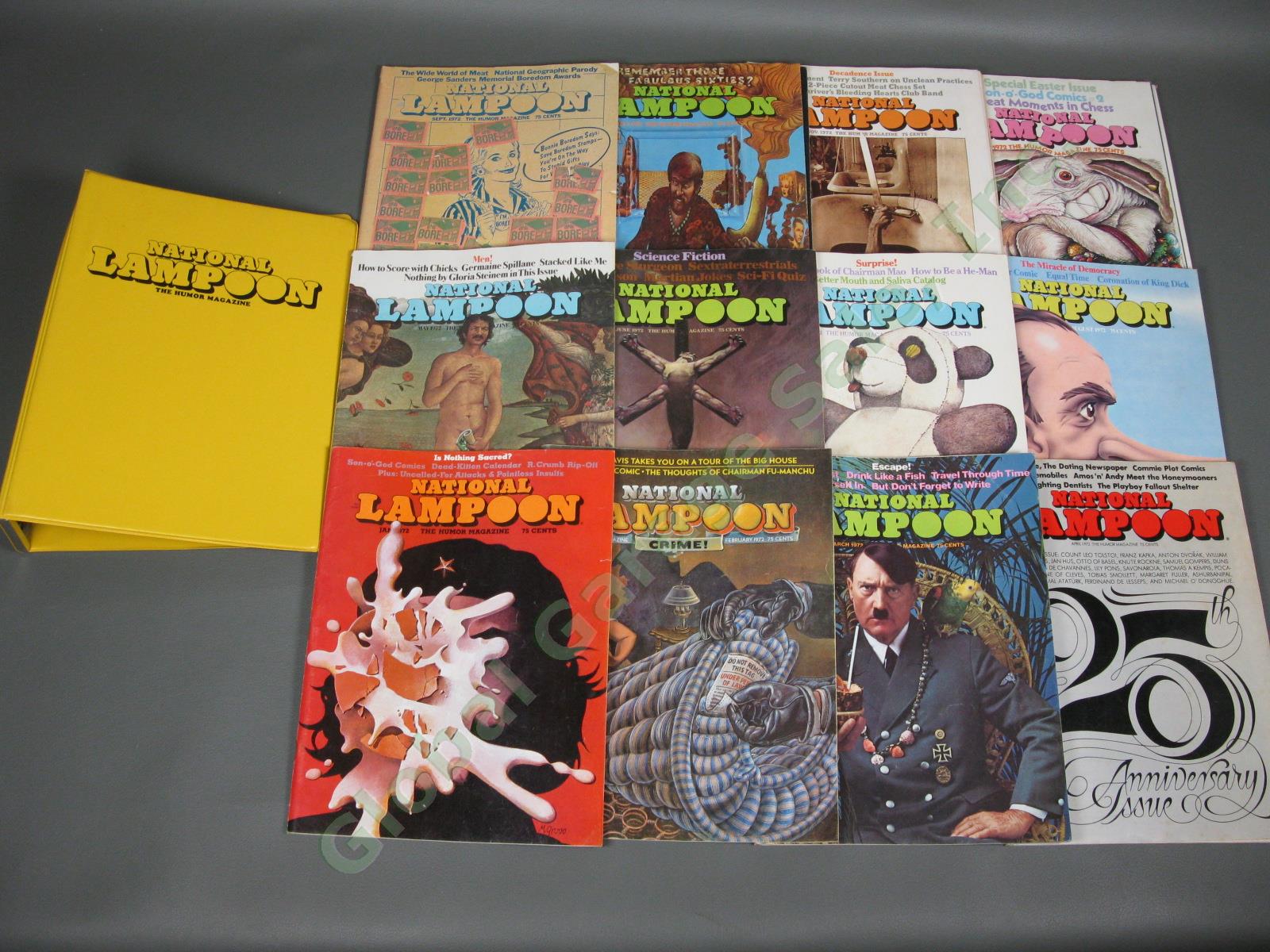 COMPLETE Vintage 1972 National Lampoon Humor Magazine 12 Issue Set Collection NR