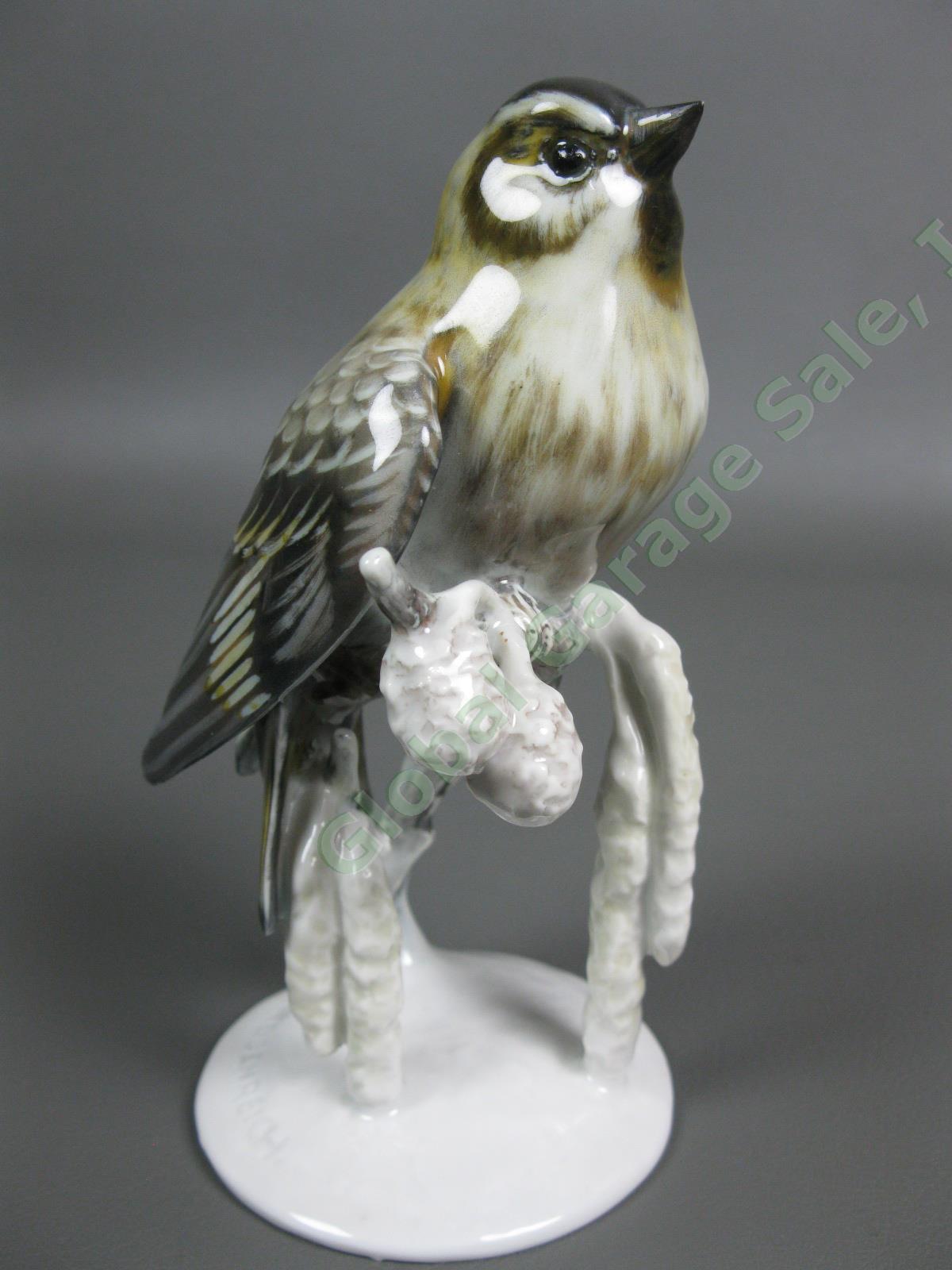 3 Rosenthal Bird #1653 Finch #1660 Wren #1741 Blue Tit Porcelain Figurine Set NR 1