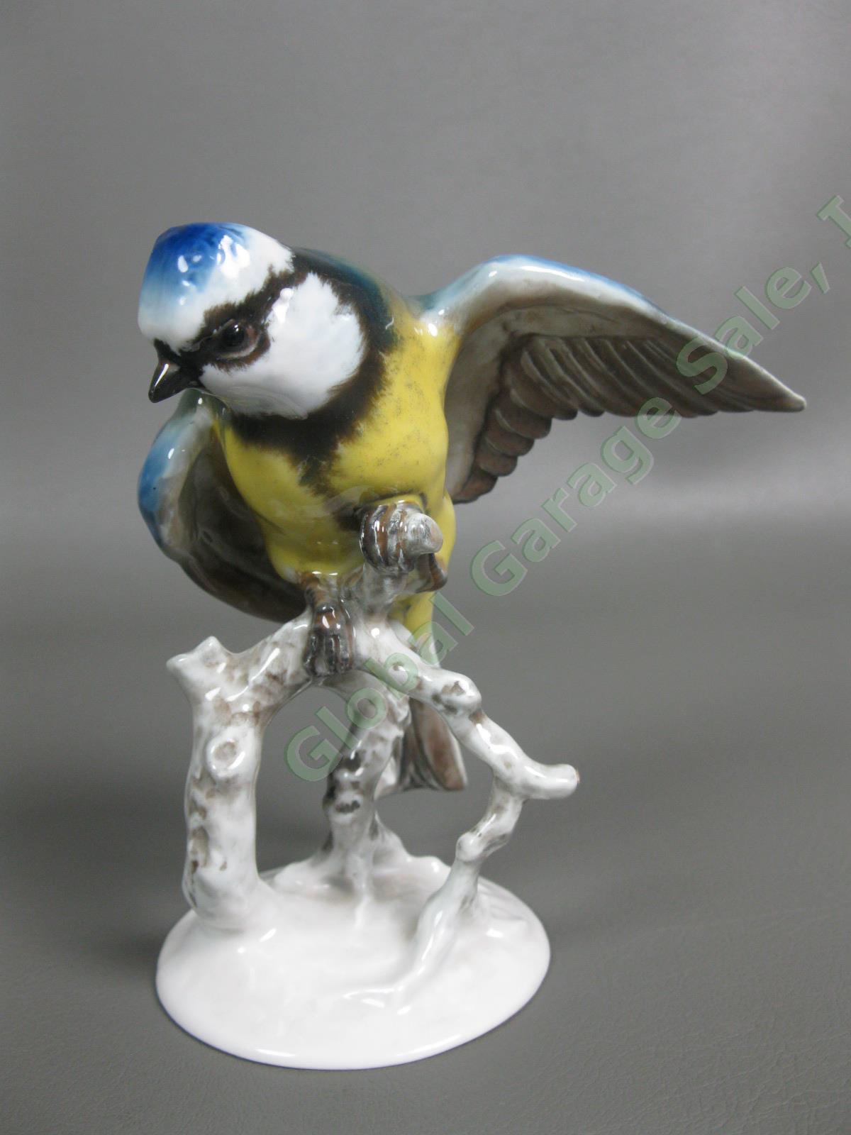 3 Rosenthal Bird #1653 Finch #1660 Wren #1741 Blue Tit Porcelain Figurine Set NR 7