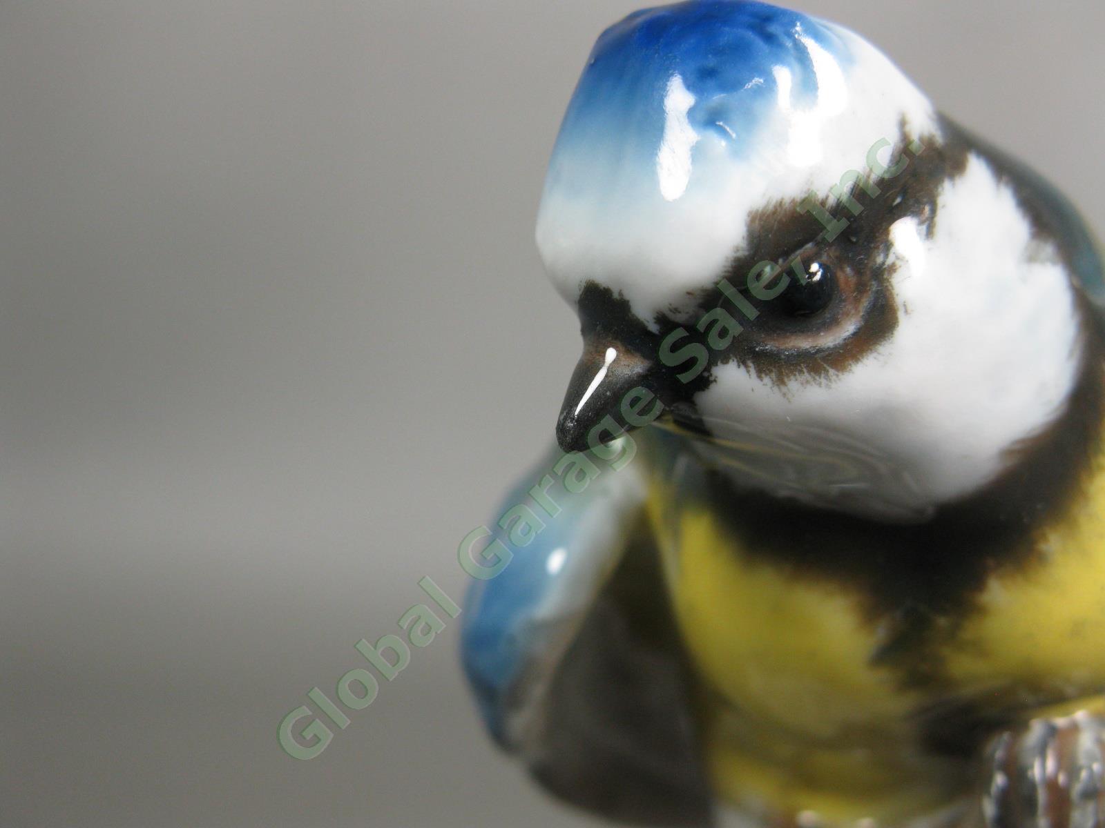 3 Rosenthal Bird #1653 Finch #1660 Wren #1741 Blue Tit Porcelain Figurine Set NR 8