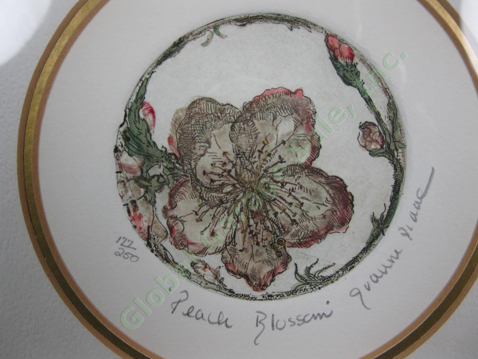 ORIGINAL Joanne Isaac Peach Blossom Flower Etching Signed Ltd Edition 23/250 NR