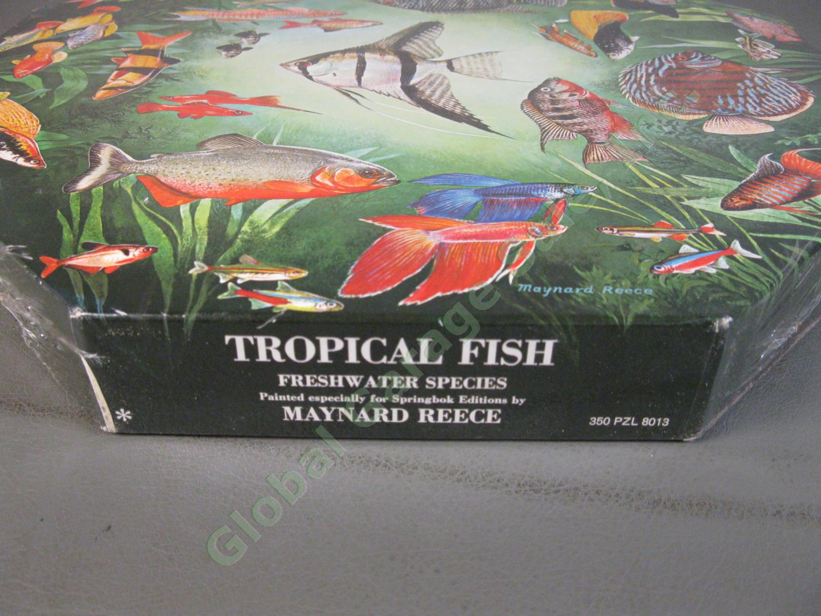 SEALED 1967 Springbok Freshwater Tropical Fish Maynard Reece Okta Puzzle PZL8013 4