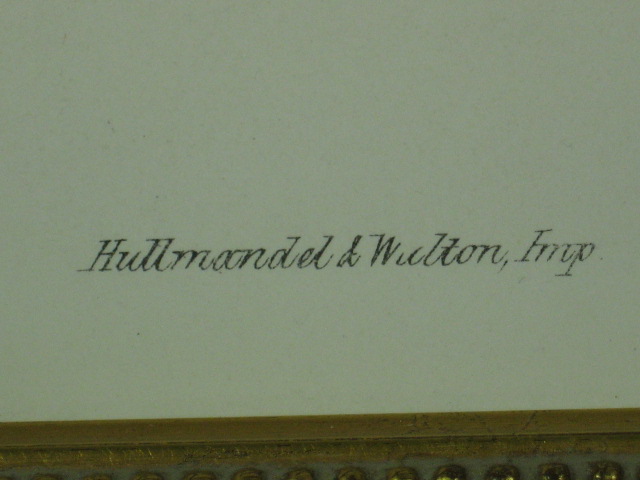Antique 1847 John Gould Hummingbird Lithograph Print NR 6