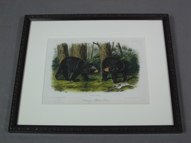 2 Audubon Prints Moose Deer 76 American Black Bear 141 1
