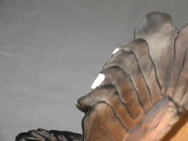 Rare Giuseppe G Armani Eagle Statue Figure Sculpture NR 8