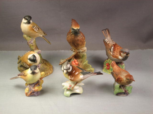 6 Porcelain Bird Figures Figurines Set Royal Worcester+