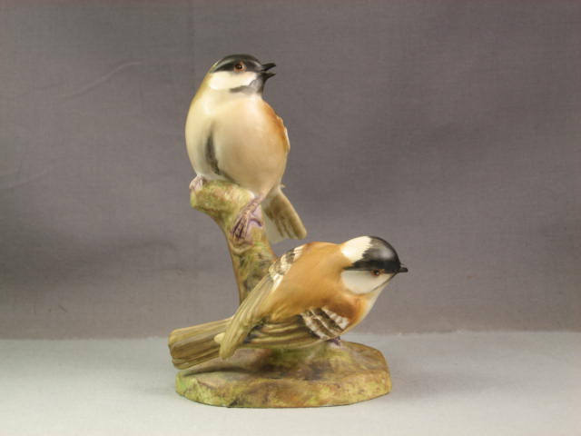 6 Porcelain Bird Figures Figurines Set Royal Worcester+ 7