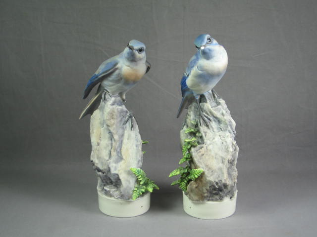 Royal Worcester Dorthy Doughty Mountain Bluebirds Birds