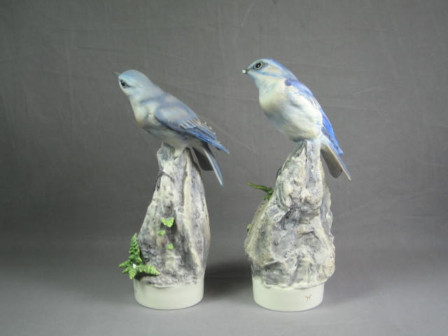 Royal Worcester Dorthy Doughty Mountain Bluebirds Birds 1