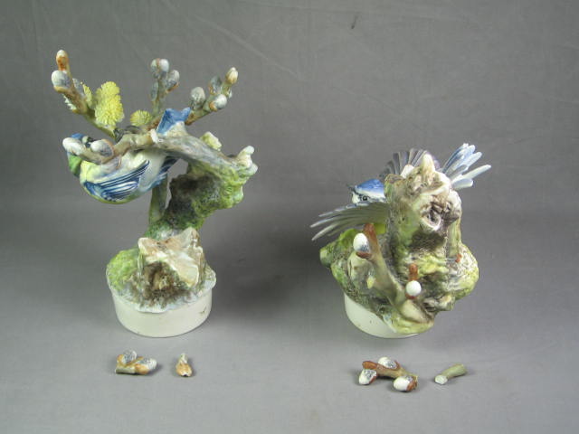 2 Royal Worcester Dorothy Doughty Blue Tits in Pussy Willow Bird Pair Set Figure 1