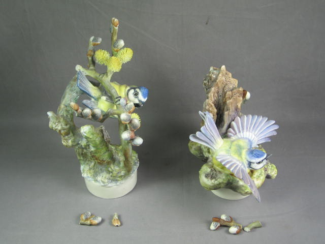 2 Royal Worcester Dorothy Doughty Blue Tits in Pussy Willow Bird Pair Set Figure 3