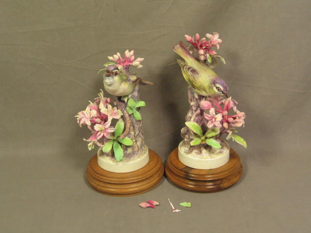 2 Royal Worcester Dorothy Doughty Red Eye Verio Bird Pair Figurine Set