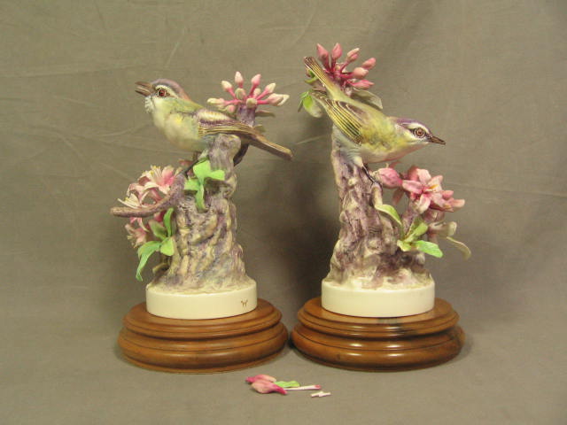 2 Royal Worcester Dorothy Doughty Red Eye Verio Bird Pair Figurine Set 3