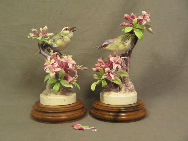 2 Royal Worcester Dorothy Doughty Red Eye Verio Bird Pair Figurine Set 5